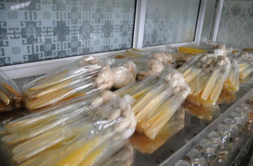 Theo TS Phạm Văn Nhạ, thành công quan trọng nhất trong nghiên cứu sản xuất đông trùng hạ thảo là lưu giữ được giống thuần chủng trong thời gian dài.