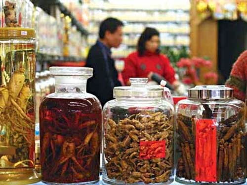 Các nhà thuốc Đông y cần đông trùng hạ thảo làm thuốc nên mua tại viện bảo vệ thực vật Việt Nam